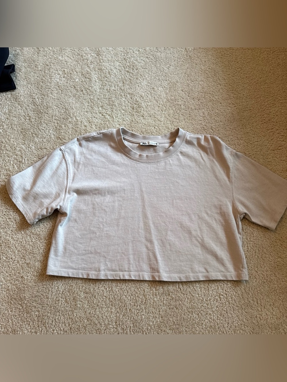 ZARA Tan Cropped Crewneck Top